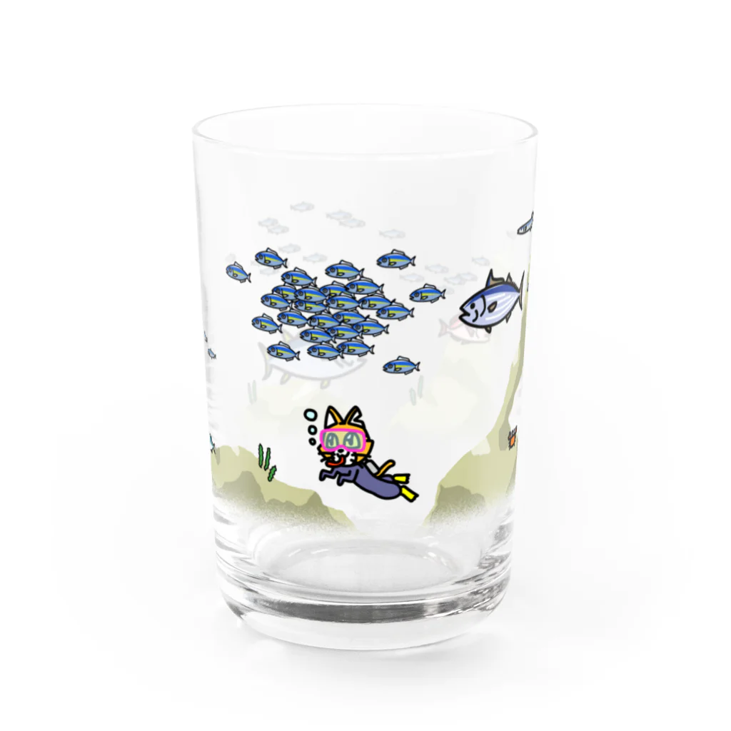 キャットＣのこうじょうけんがくのダイビングキャットC Water Glass :front