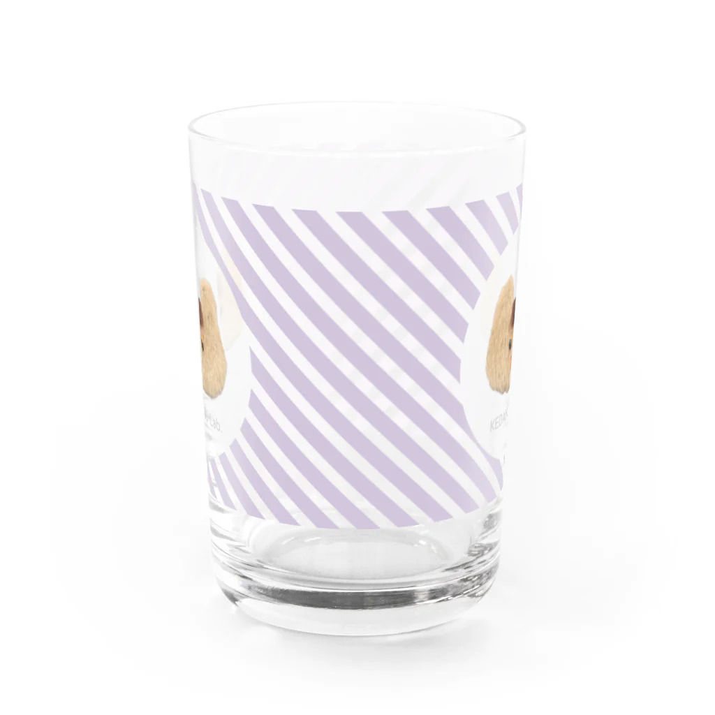 KEDAMONO Lab.のまえがみちゃんストライプ Water Glass :front