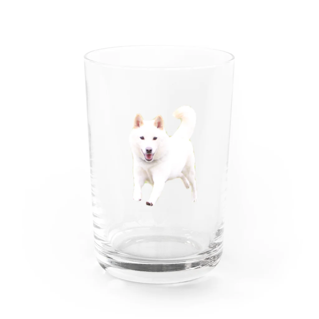 uzr_のとびだせチロちゃん！ Water Glass :front