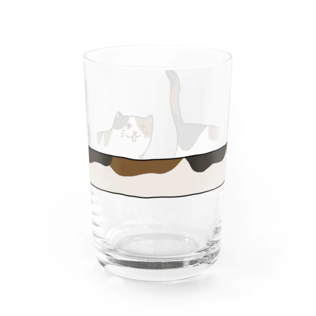 きなこしあんこの長い三毛猫 Water Glass :front