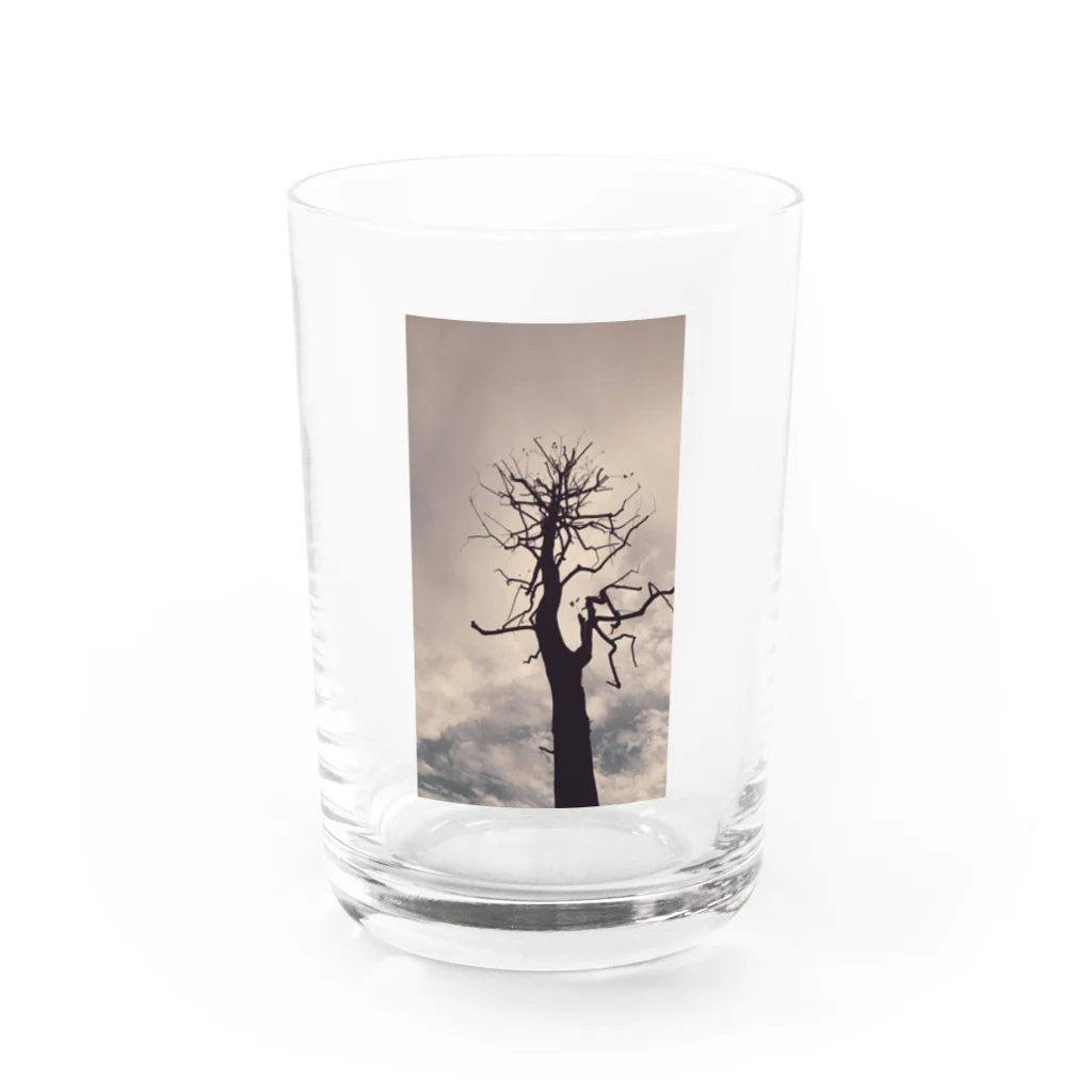 古春一生(Koharu Issey)のその樹のコト(リトグラフ) Water Glass :front