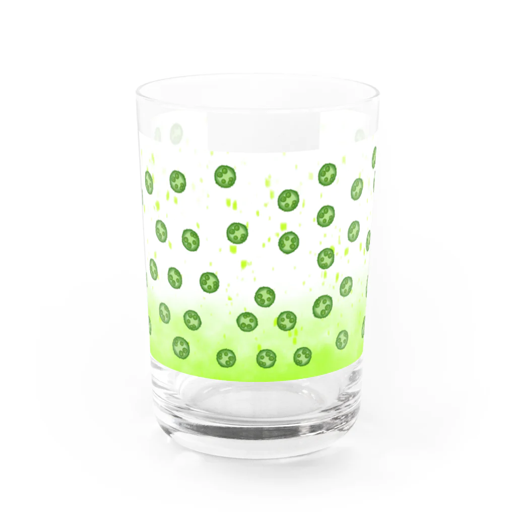 sasami.<ささみ>のボルボックス（親友）グラス Water Glass :front