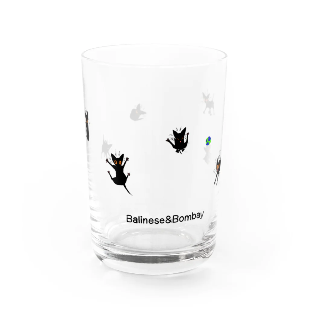 yoshinaoのボンベイの色々 Water Glass :front