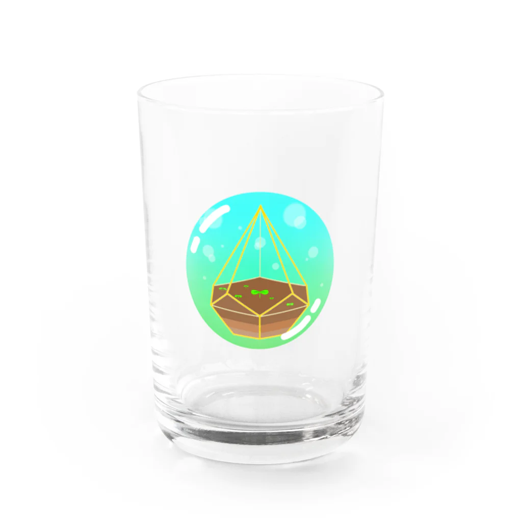 pamoのしゃぼん玉のテラリウム Water Glass :front