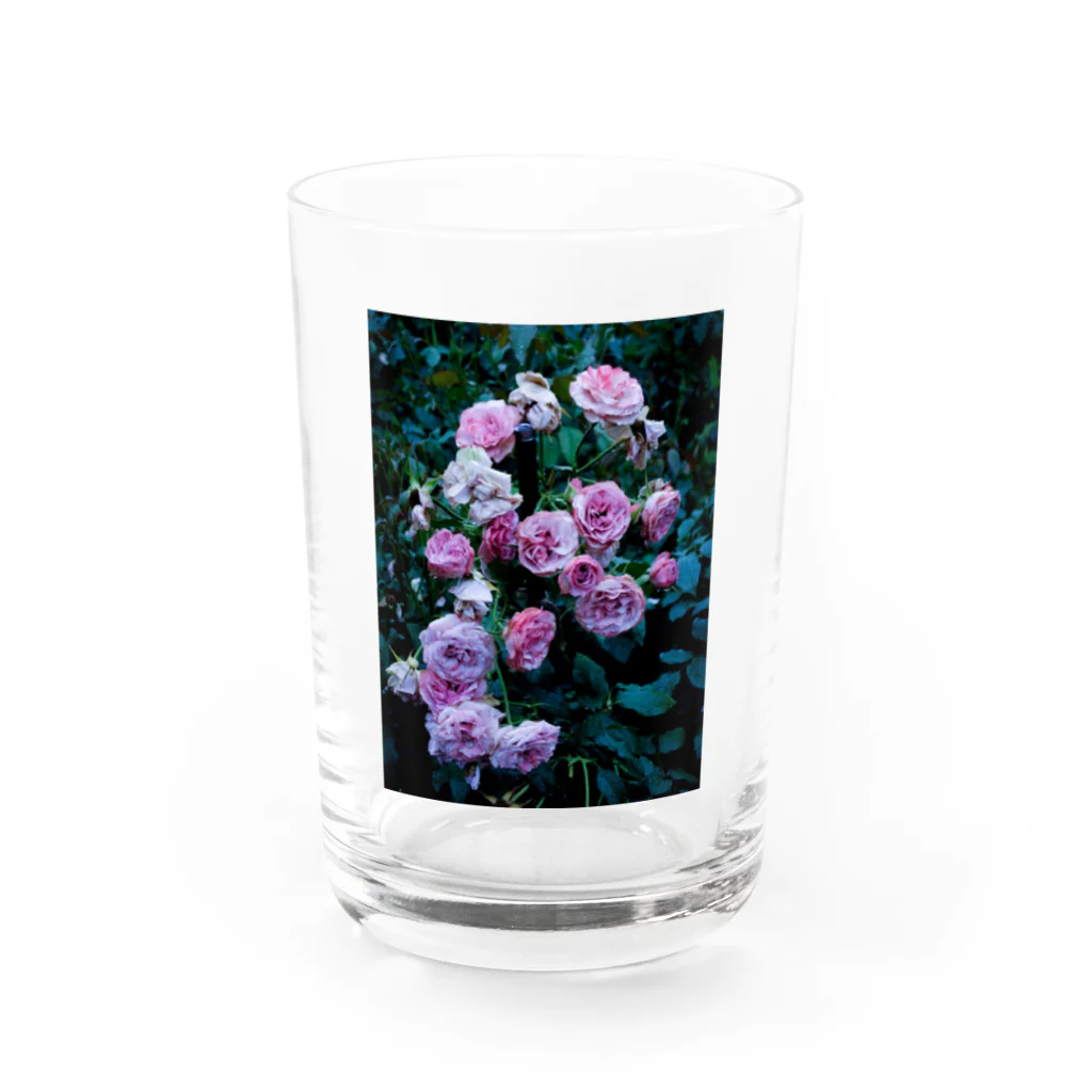 脳海の濡れた薔薇 Water Glass :front