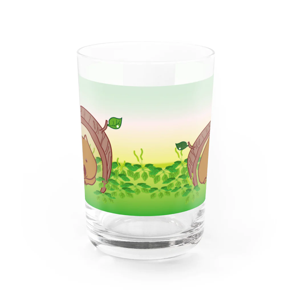 wombat_yuのお昼寝ウォンバットTumori ちゃん Water Glass :front