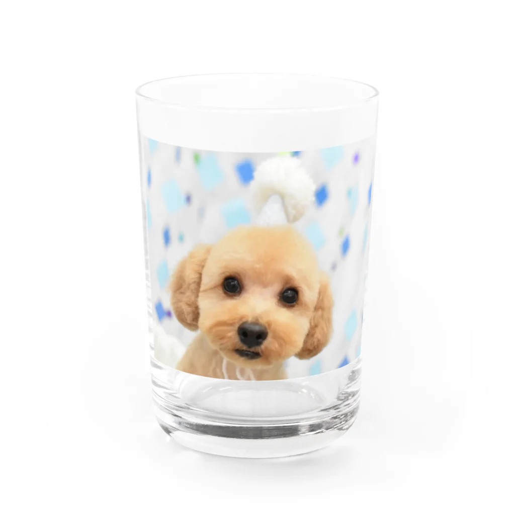 Titaniaのわんこ Water Glass :front