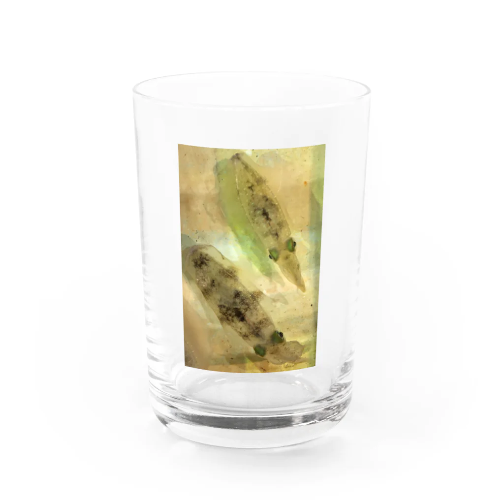 see-fishのsquid king Water Glass :front