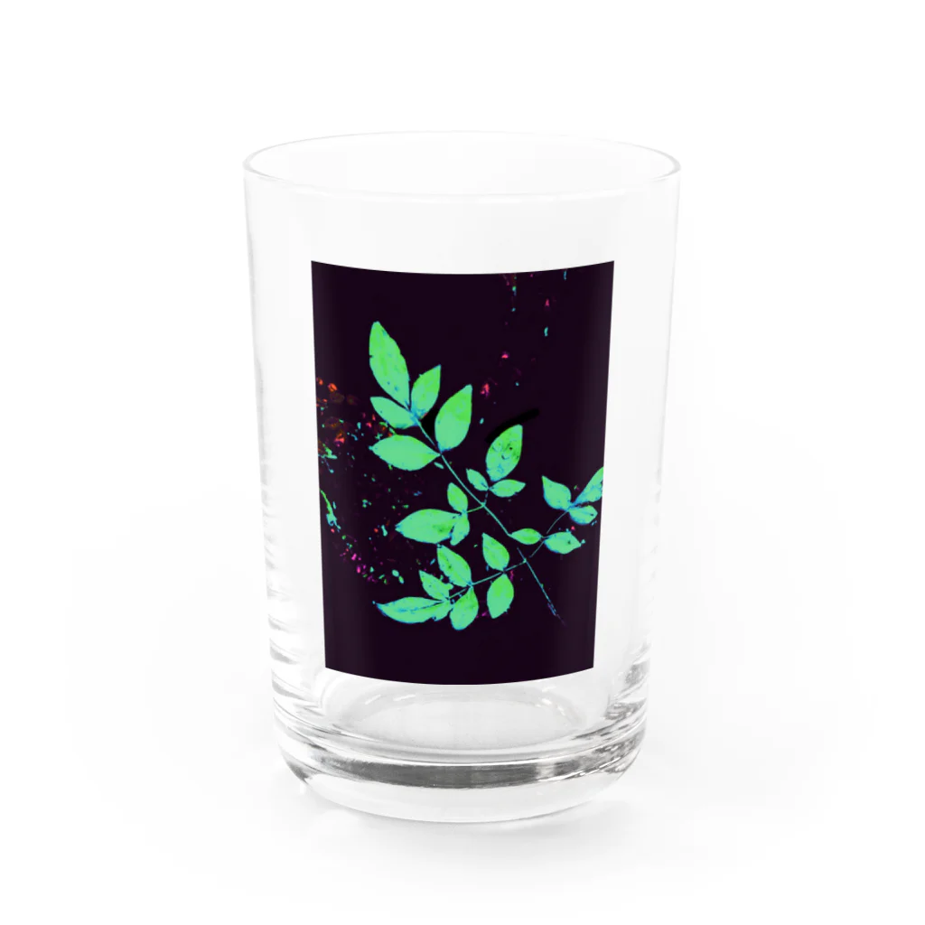 宵花火の枝葉(黒×グリーン) Water Glass :front