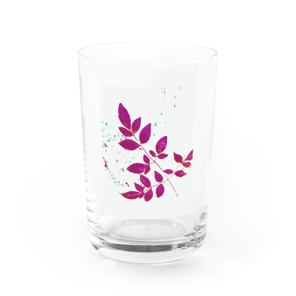 宵花火の枝葉(白×ピンク) Water Glass :front