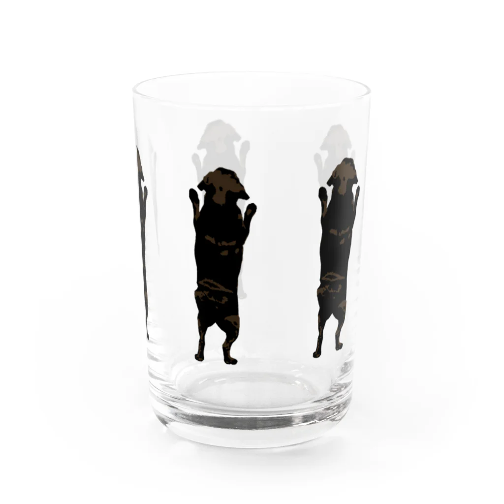 BUHITOLIFEの黒パグ の背中たち Water Glass :front