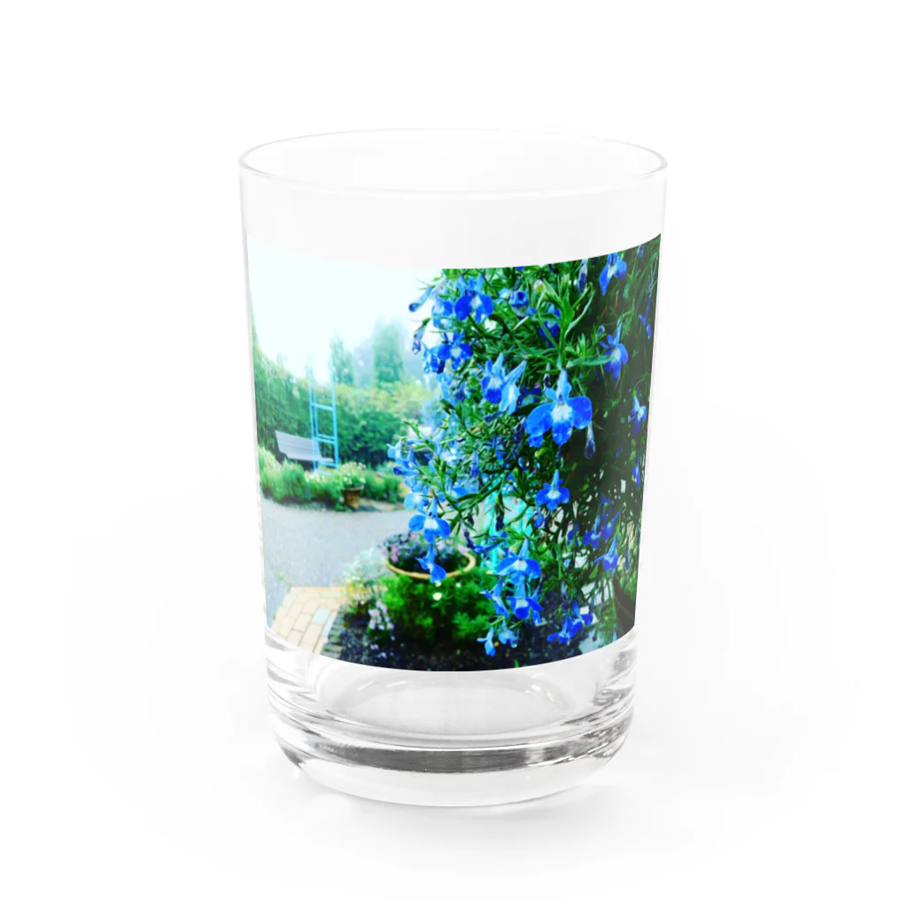 Tesoroの雨の蒼 Water Glass :front