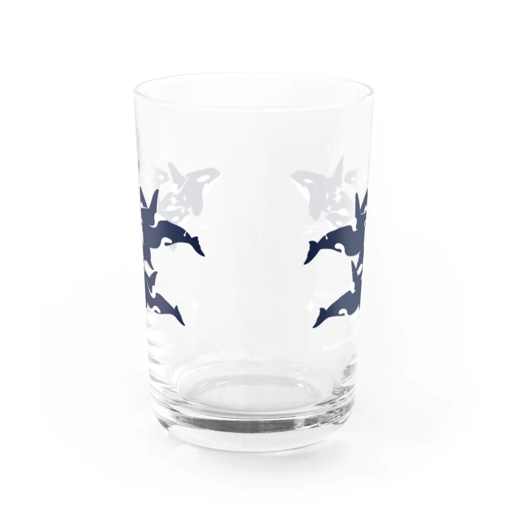 みなとまち層のグラスワールドType:Orcas Water Glass :front