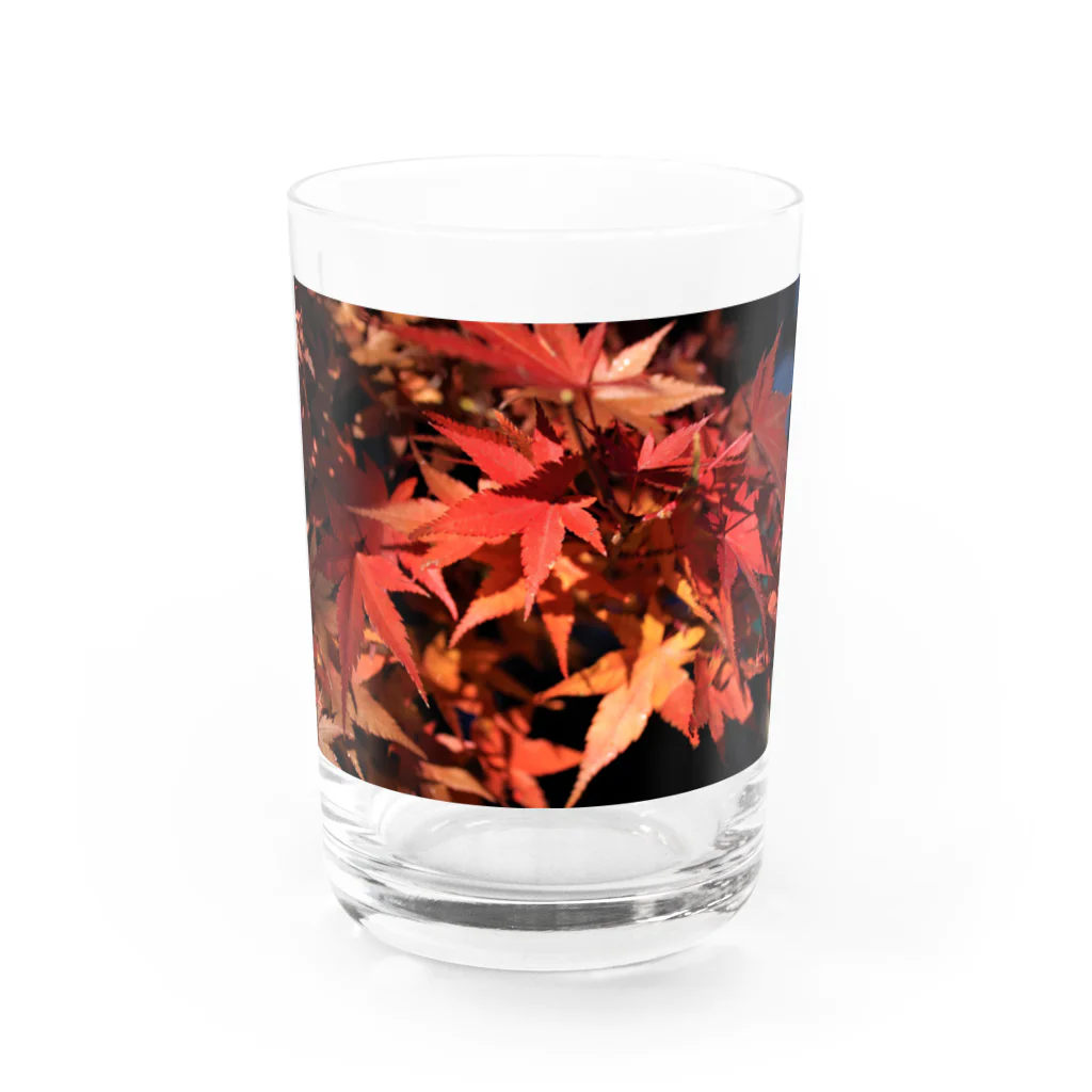 やーすみ🌻の紅葉なぜ泣くの？紅葉の勝手でしょ Water Glass :front