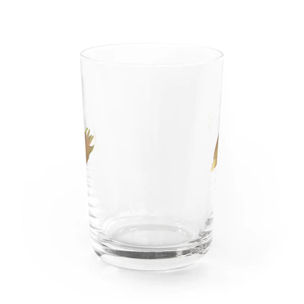 ひよこスタジオ販売部のミョウガx2 Water Glass :front