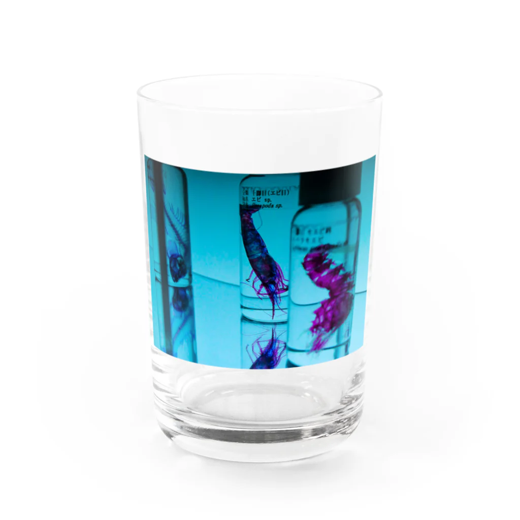 脳海の透明標本たち Water Glass :front