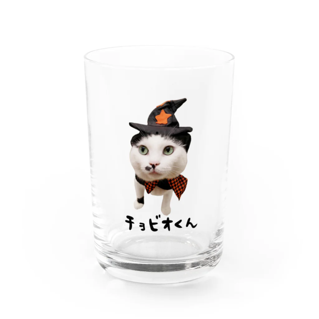 たんたん保護猫グッズのチョビオくん Water Glass :front