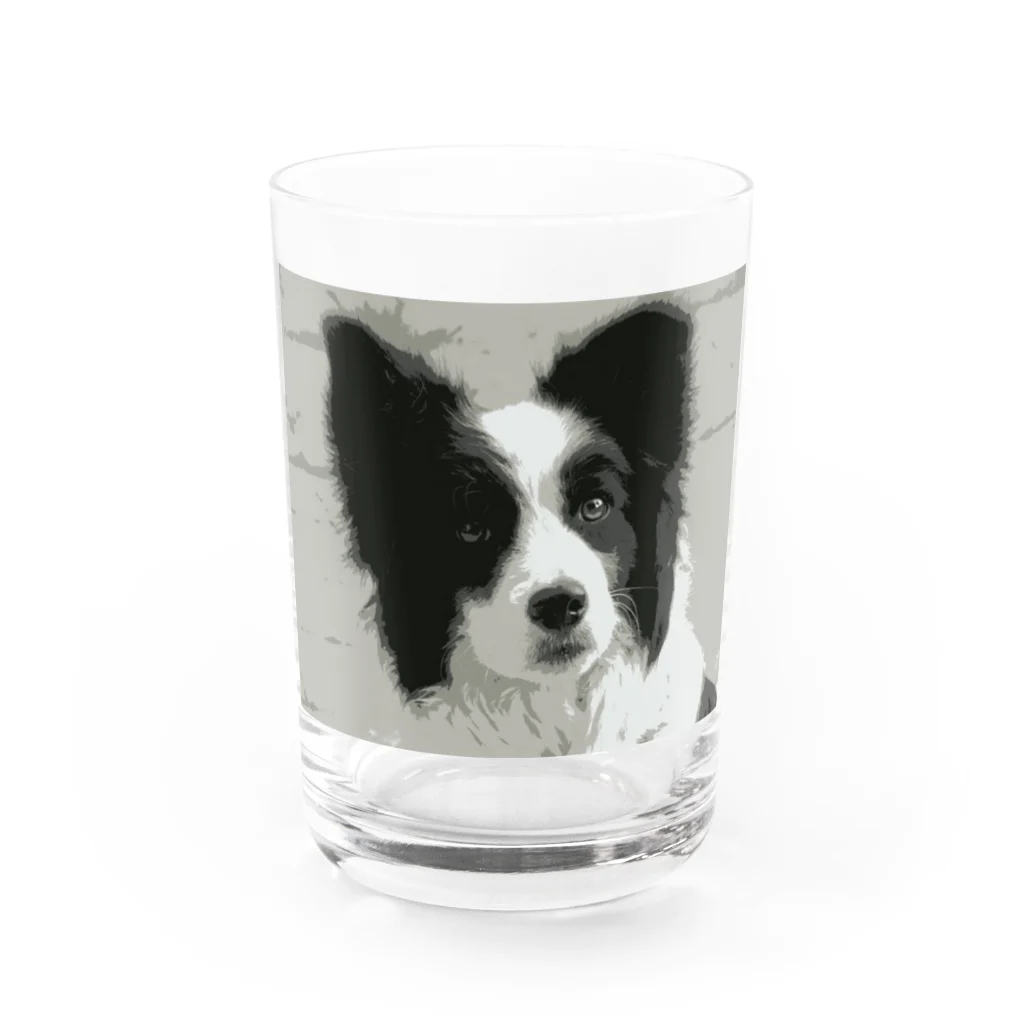 えっちゃんのボーダーコリー Water Glass :front