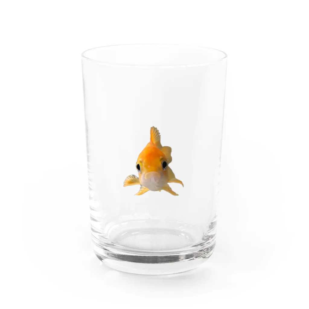 macomaco z4 (∞■■∞)のどこでもタイヤキくんコレクション Water Glass :front