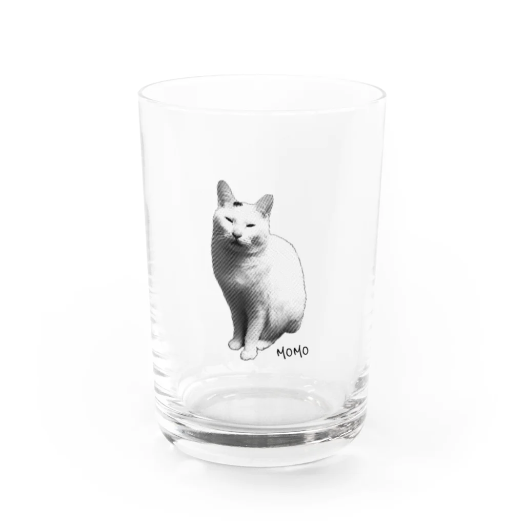 chiicoroの疑いの眼差しモモ Water Glass :front