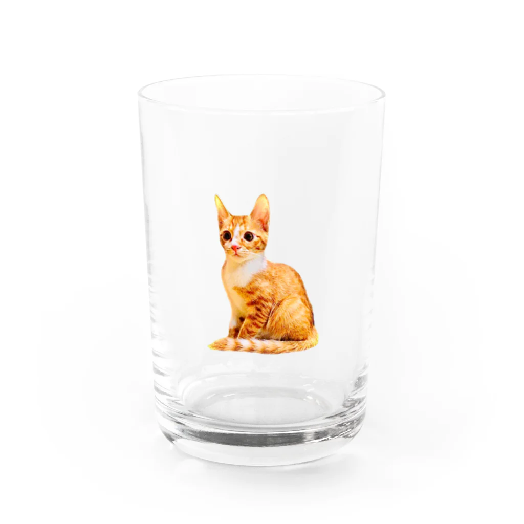 ねこだいすきばばあのKAWAII CHATORA NEKO Water Glass :front