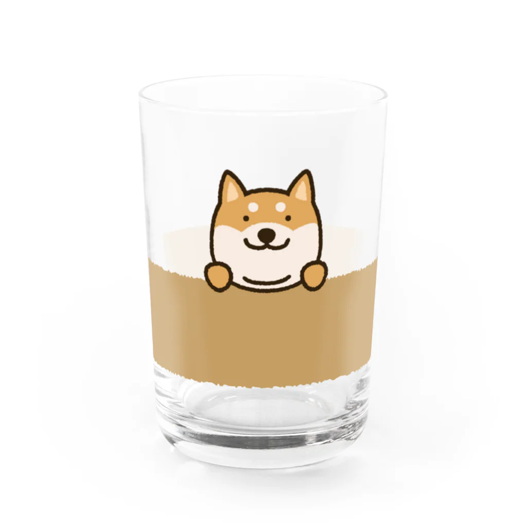 semioticaのひょっこり柴犬 Water Glass :front