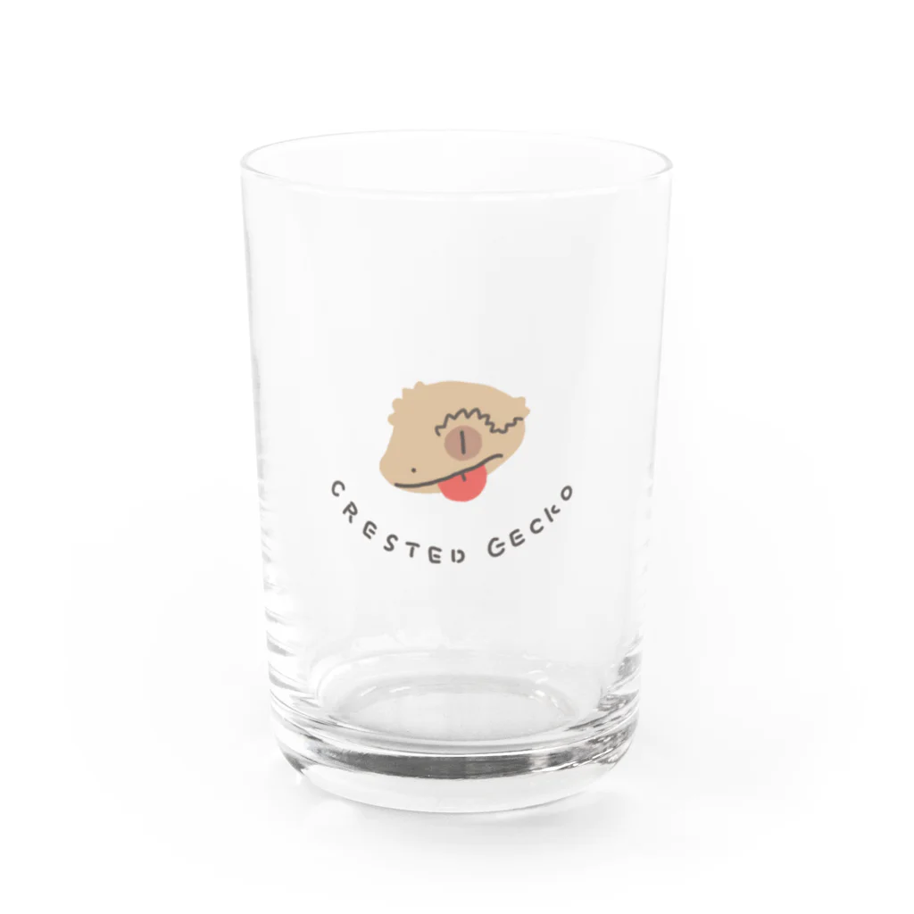 はちゅやさんのクレステッドゲッコー  Water Glass :front