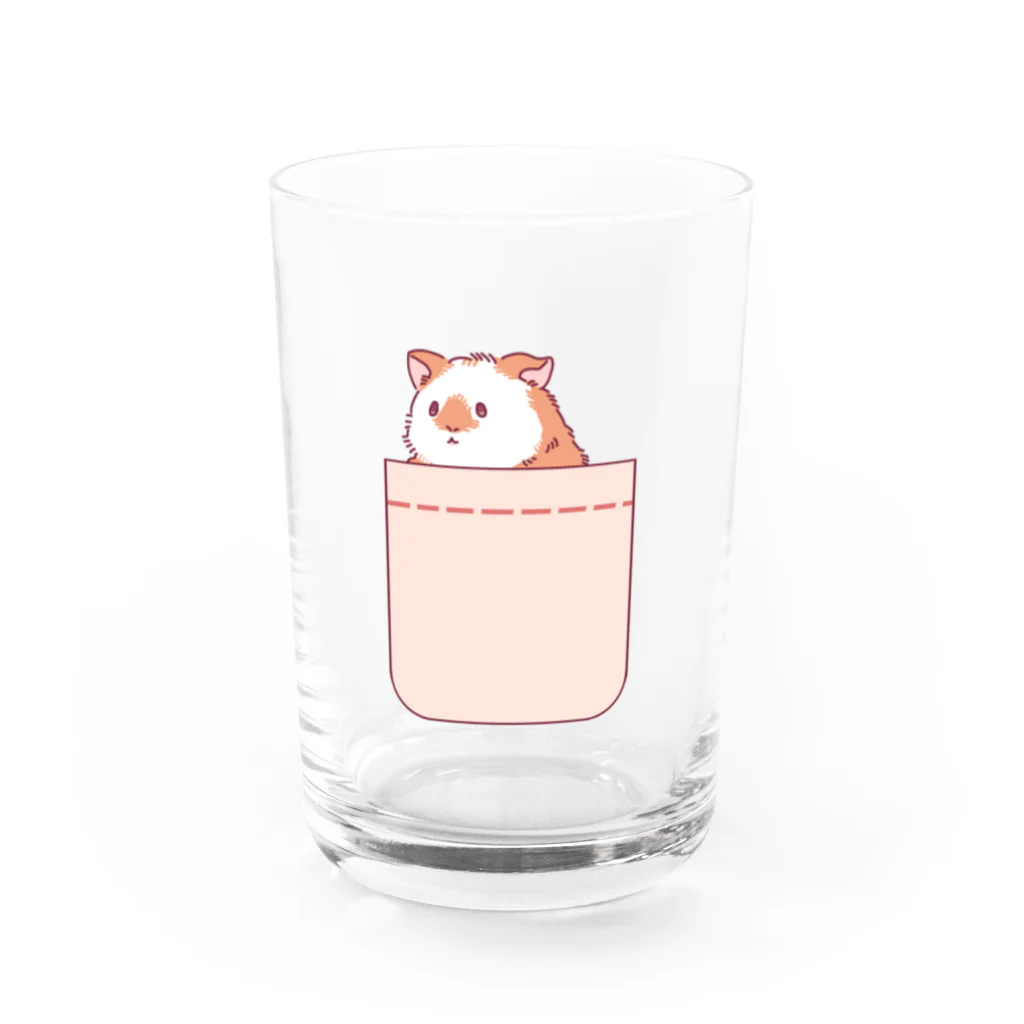 Anzu_Worldのモルモットのぽよりちゃん Water Glass :front