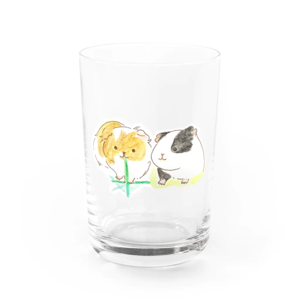 mugiのちゃちゃくんごまちゃん Water Glass :front