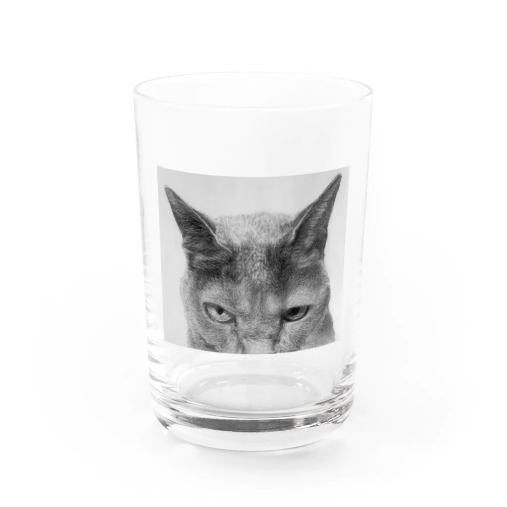 first_firmamentの般ニャ Water Glass :front