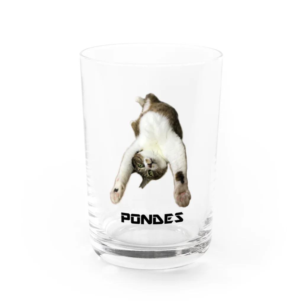 poncatのぽんです Water Glass :front