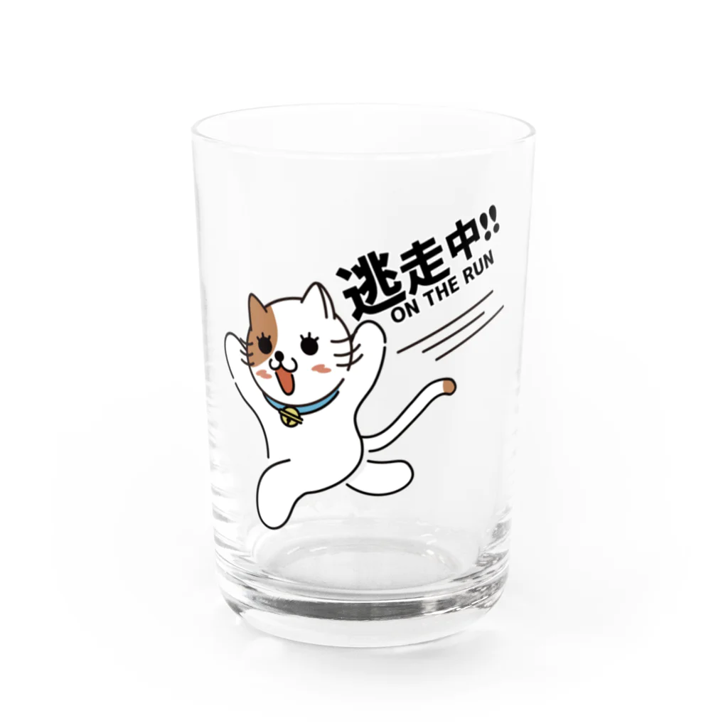 楽猫楽描しげ屋の逃走中 Water Glass :front