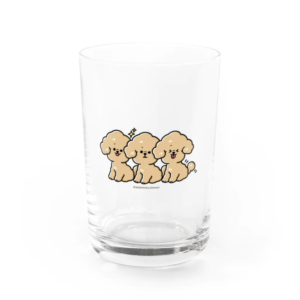 ししまる ともみの3ぴきのトイプードル Water Glass :front