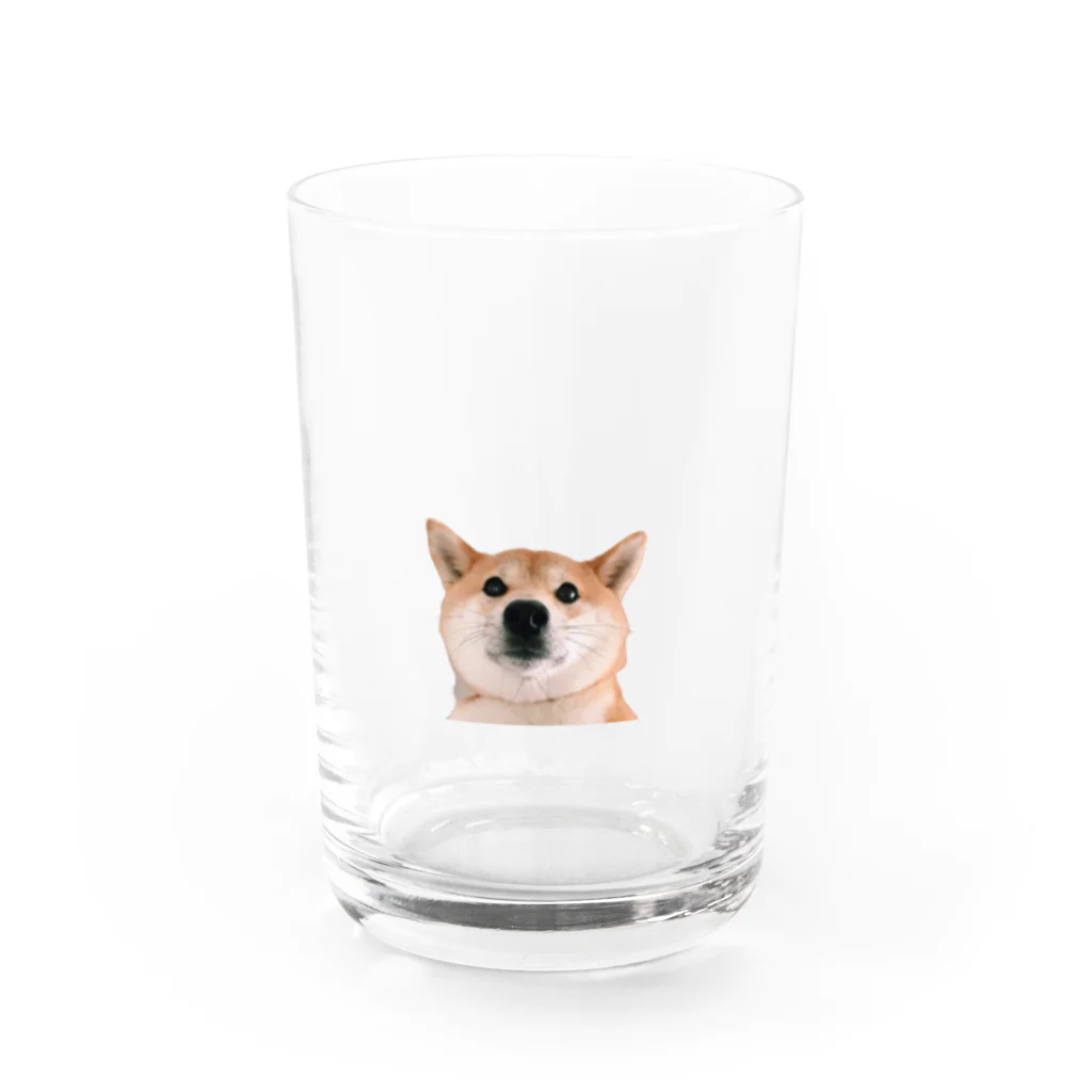いい犬のいい犬、柴犬 Water Glass :front