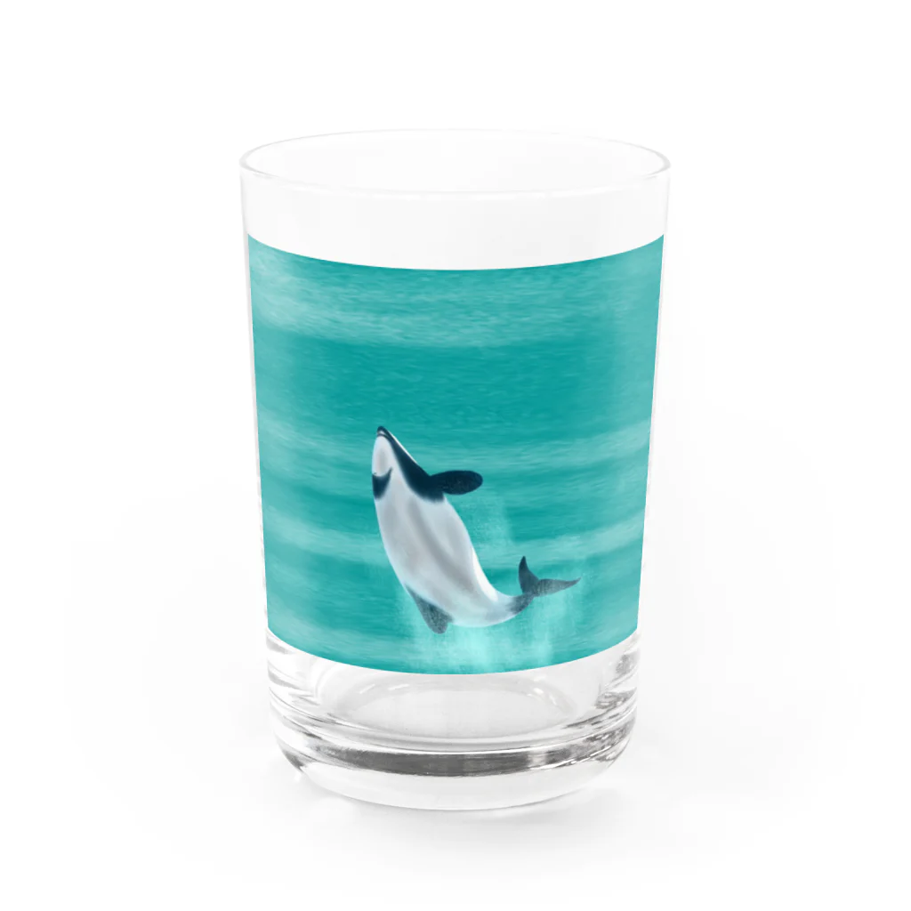 Ori-iro　イルカやシャチをお届け！のセッパリイルカのジャンプ Water Glass :front