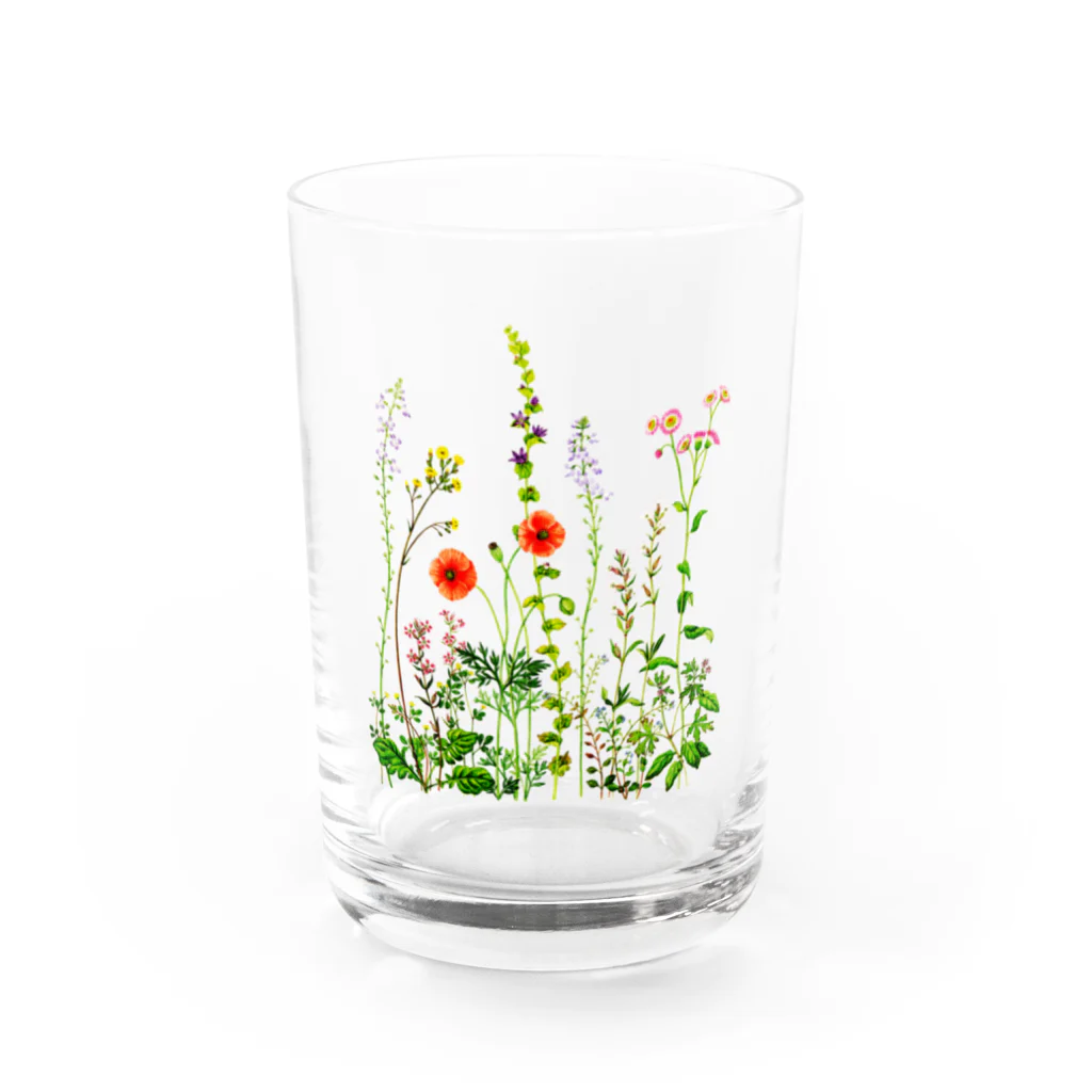 すずめ工房の野の花 Water Glass :front