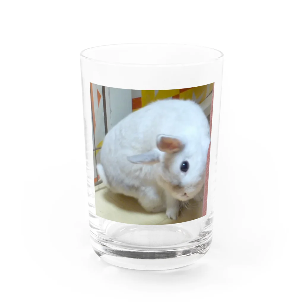 うさぎはうすのぶつぶつぶーちゃん Water Glass :front