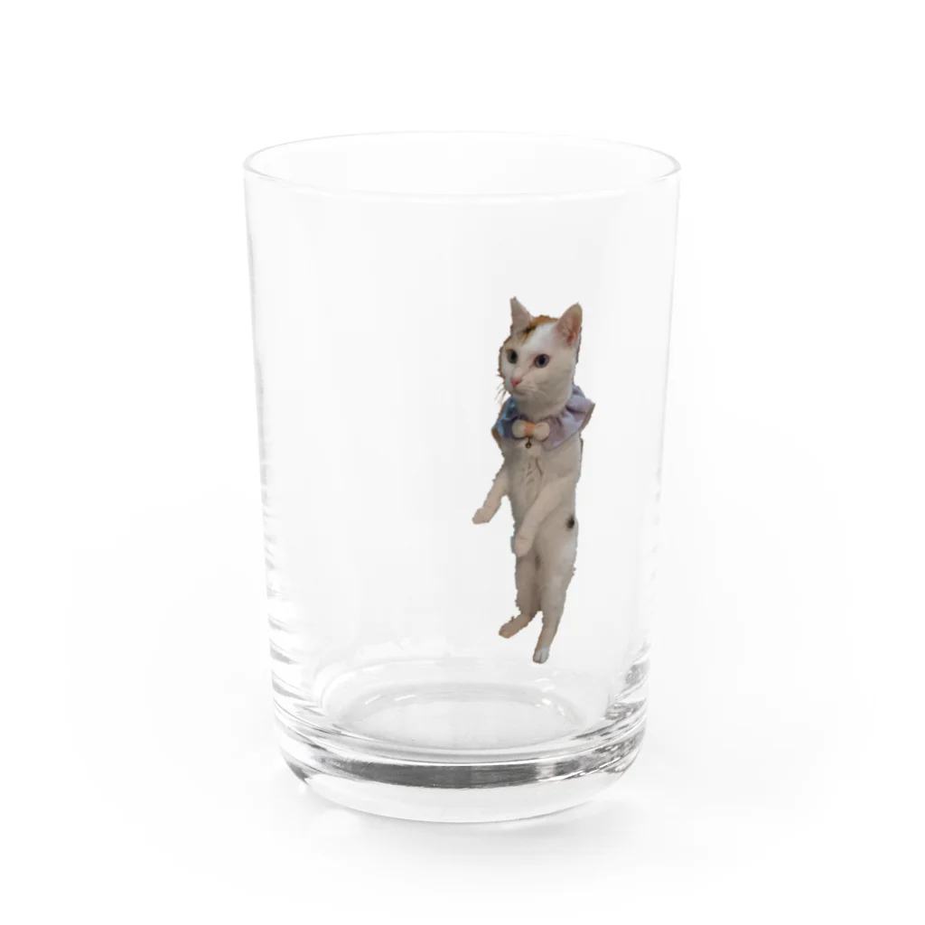 りずママの立ち猫華っち Water Glass :front