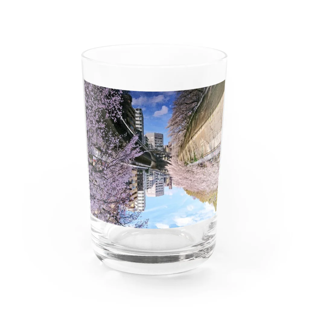 古春一生(Koharu Issey)の桜降る川空へ。 Water Glass :front