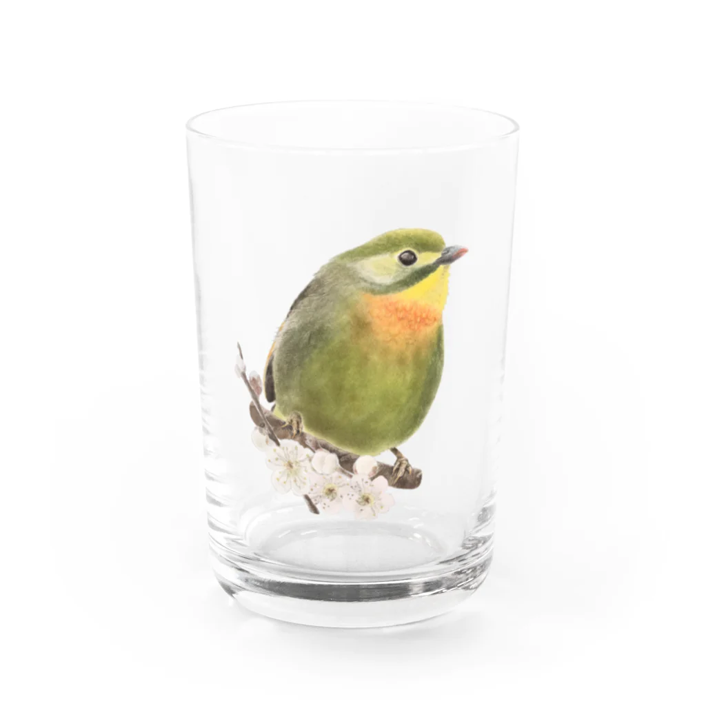 たんぼくのソウシチョウさん Water Glass :front