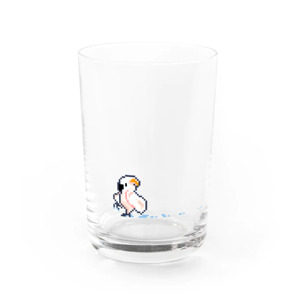 ソケットれんちのDOTオウム_オオバタンの水遊び グラス前面