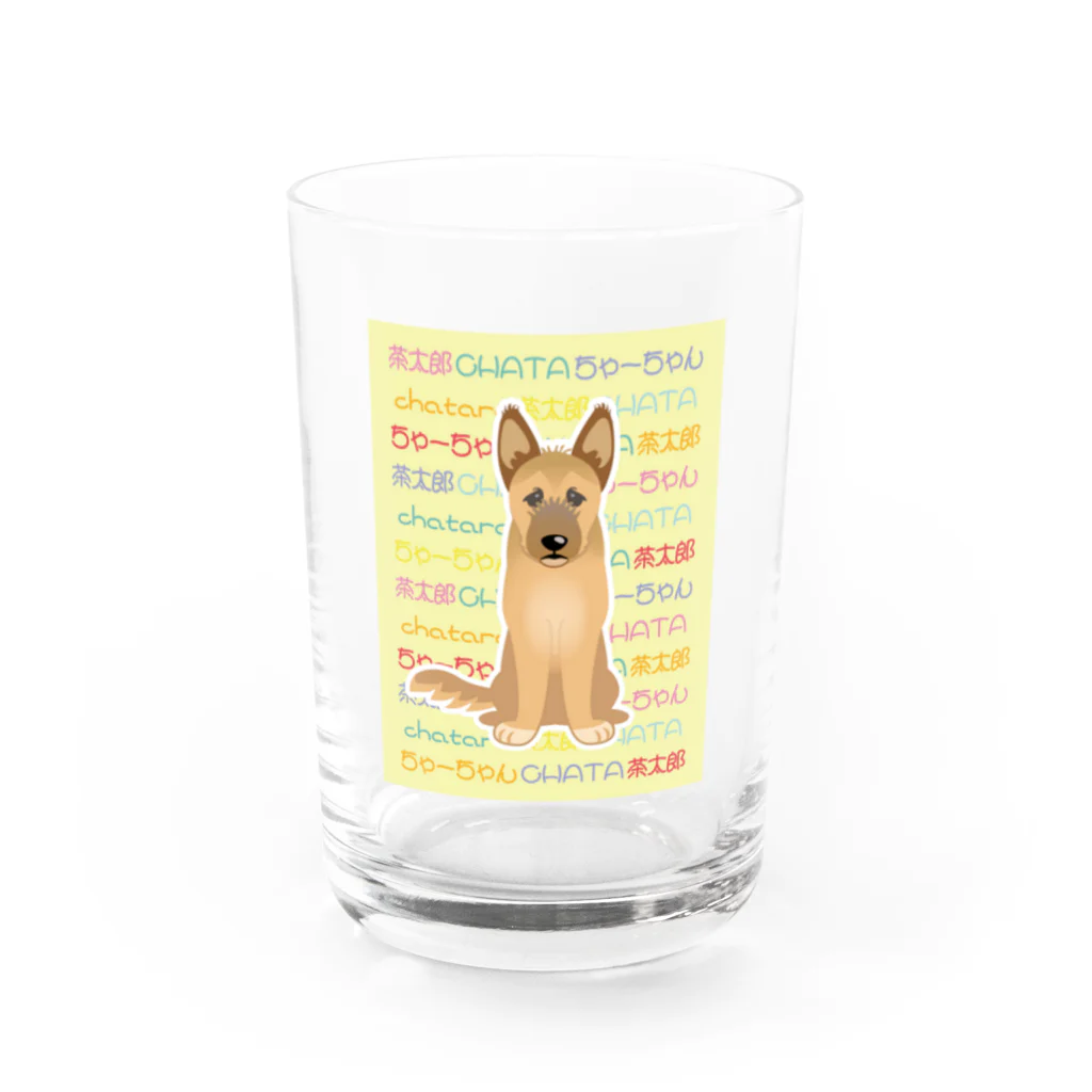 エツコロジーのちゃーちゃん Water Glass :front