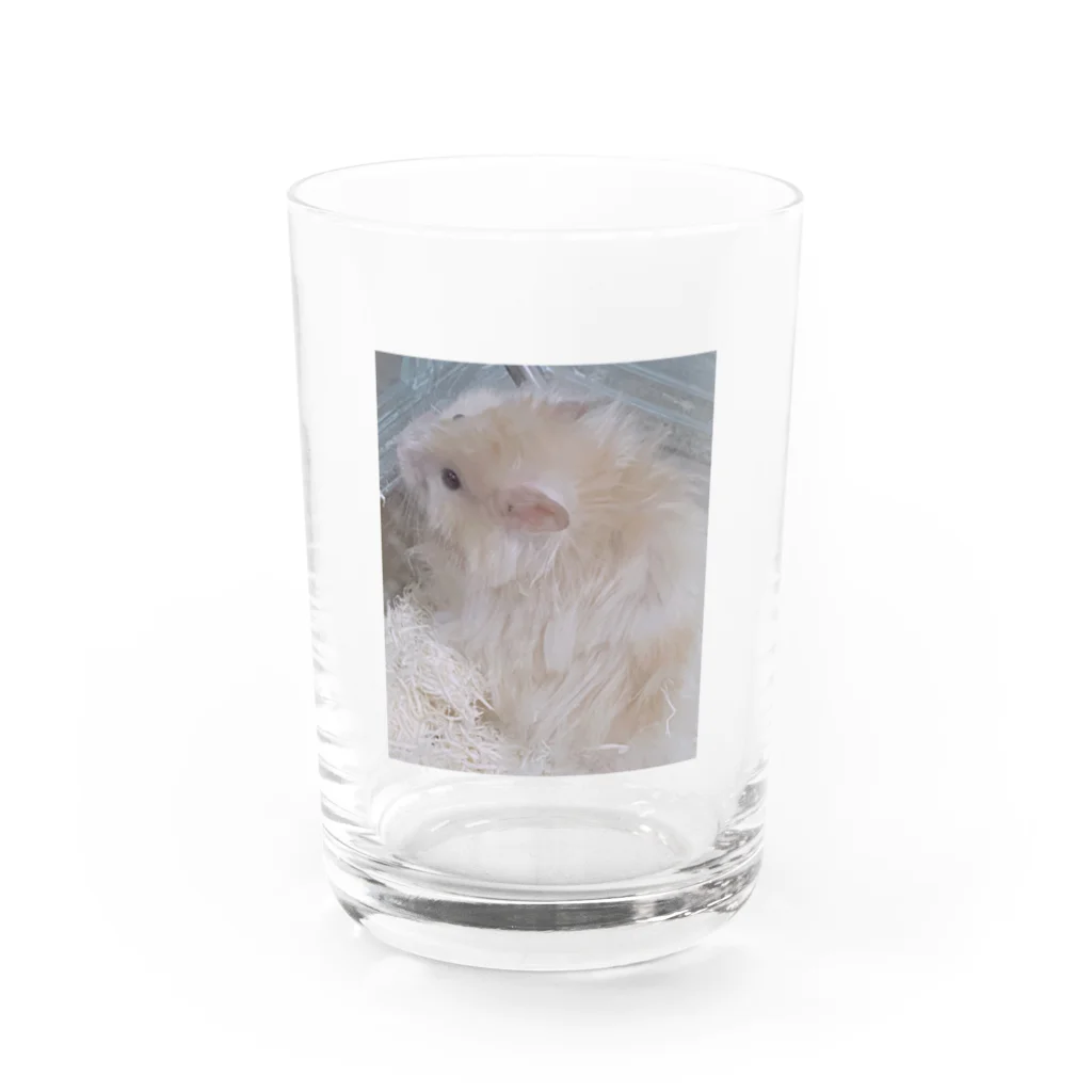 fuukachan316のサテンハムスターのモフ🐹 Water Glass :front