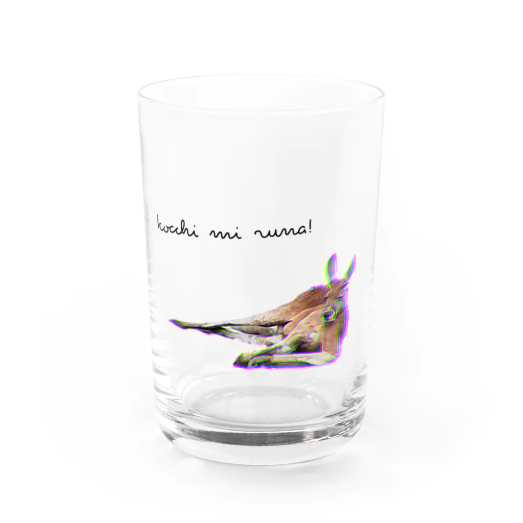 こあらららんどのこっちを見てるカンガルー Water Glass :front