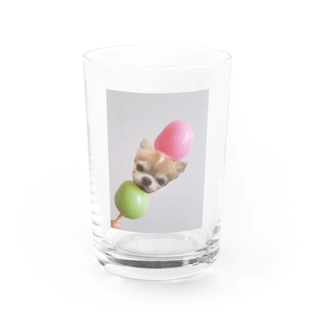 プリンセスモルモットのチワワ三色団子🍡 Water Glass :front