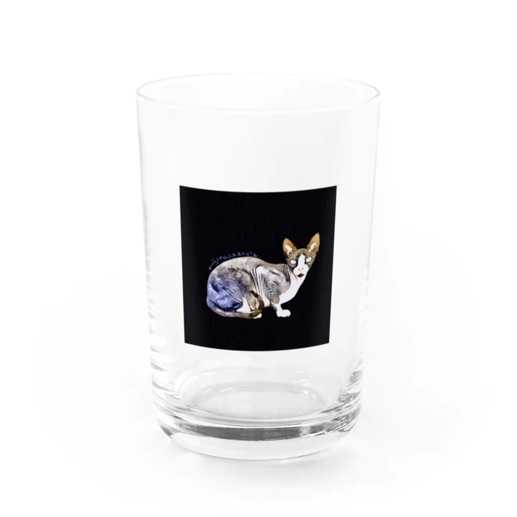 Fios shopのsprezzaturaスフィンクス Water Glass :front