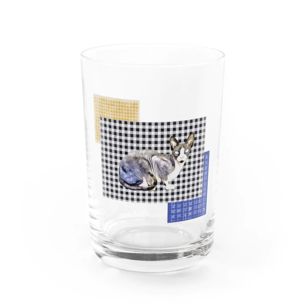 Fios shopのギンガムチェックスフィンクス Water Glass :front