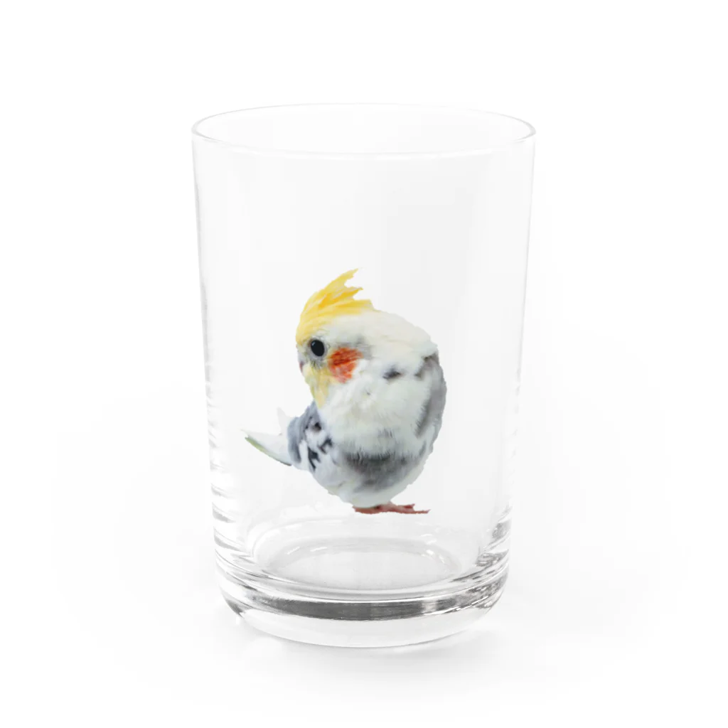 きいろしまえなが。のシンプルみかど Water Glass :front