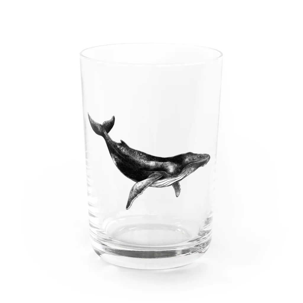 池田早秋のクジラA Water Glass :front