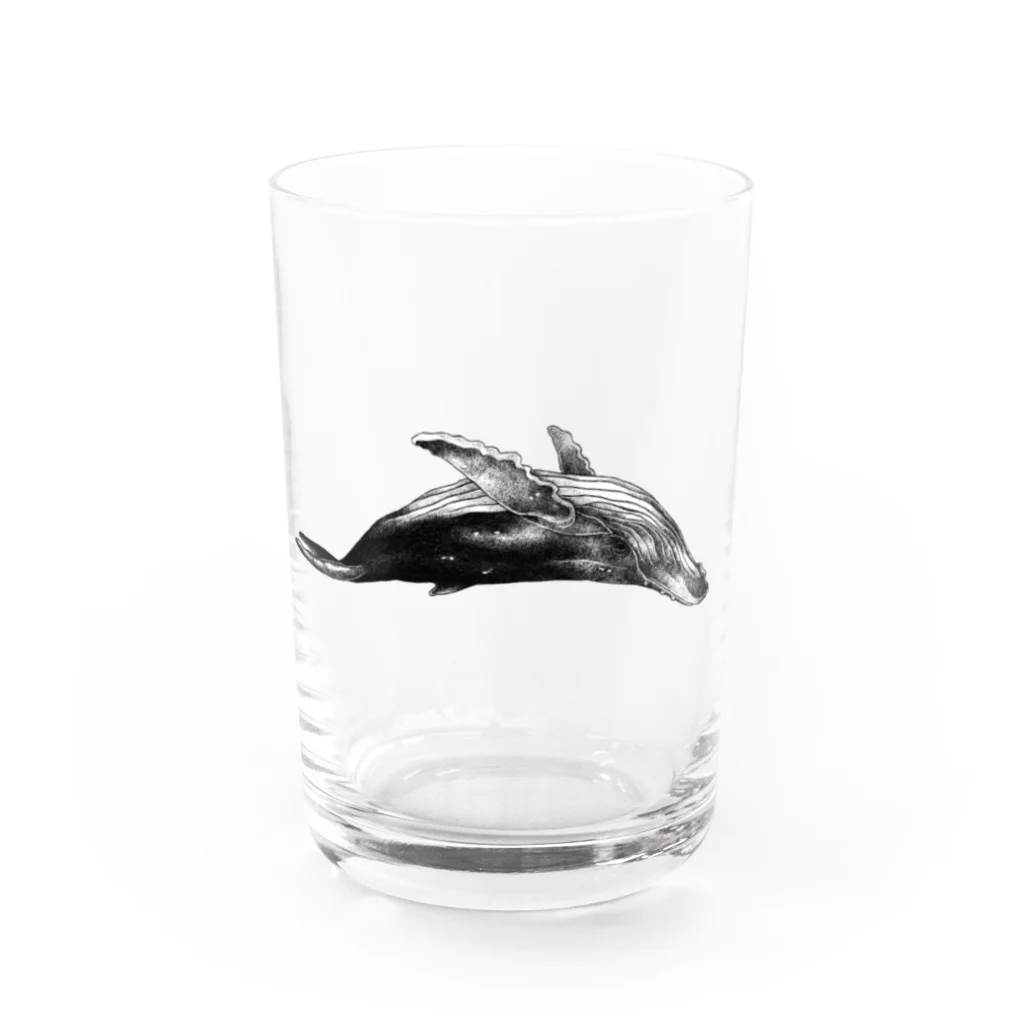 池田早秋のクジラB Water Glass :front